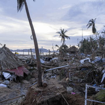 Reforestación, tarea impostergable en temporada de lluvias 
