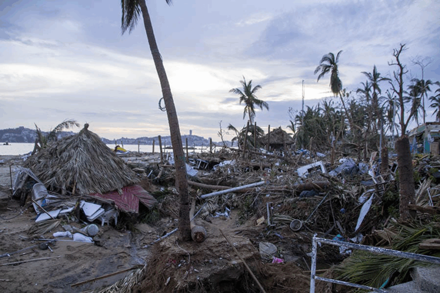 Reforestación, tarea impostergable en temporada de lluvias 