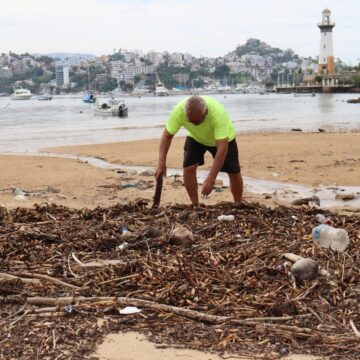 Continúa retiro de lirio acuático en bahía de Acapulco