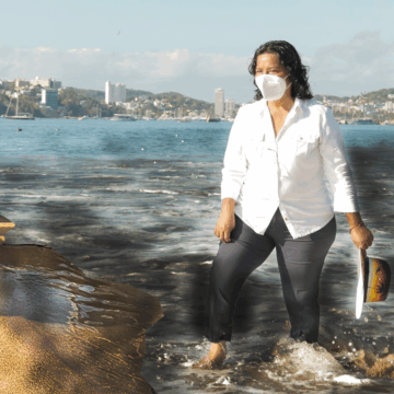 Cofepris refuta a CAPAMA y Abelina: «Playas de Acapulco están contaminadas»