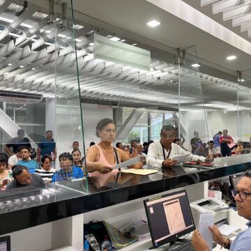 Abasto de placas vehiculares garantizado | SefinaGro