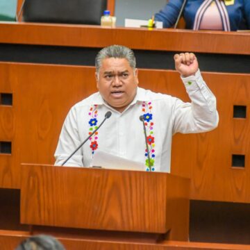 Pide diputado reconocer la discapacidad intelectual