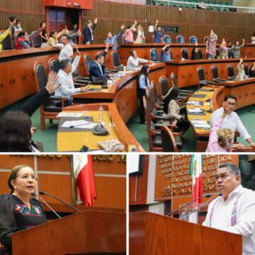 Congreso reconoce la discapacidad intelectual