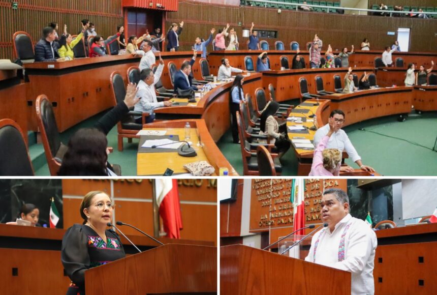 Congreso reconoce la discapacidad intelectual