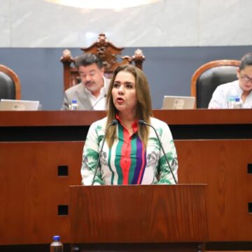 «Que programa de apoyo para refugio de mujeres violentadas no desaparezca»: Érika Lührs