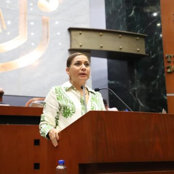 Solicitan a ayuntamientos aportar recursos para la preservación del jaguar