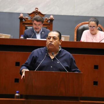 Proponen atencion médica especializada a domicilio a niños con discapacidad