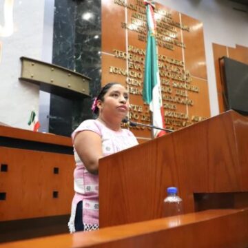 catalina apolinar Piden desde Congreso íntérpretes de lenguas nativas en el sector salud