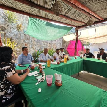 16 mil familias y mil apicultores de Guerrero afectados por miel clonada en China