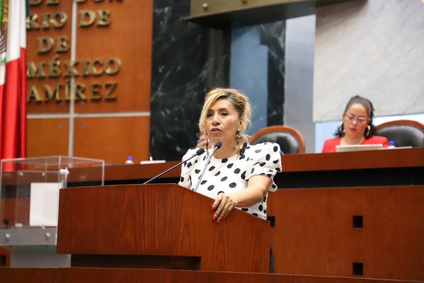 Araceli Ocampo Manzanares Proponen ampliar ley de declaración especial por desaparición de personas