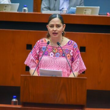 Leticia Rodríguez Armenta Presentan iniciativa para garantizar correcta instalación de reductores de velocidad