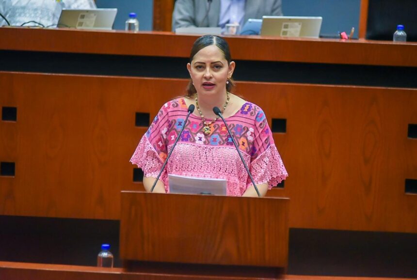 Leticia Rodríguez Armenta Presentan iniciativa para garantizar correcta instalación de reductores de velocidad