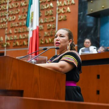 Proponen mecanismo digital que constate no deudas alimentarios