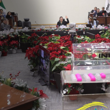 central electoral ine INE implementará voto anticipado por Internet en Coahuila 2026