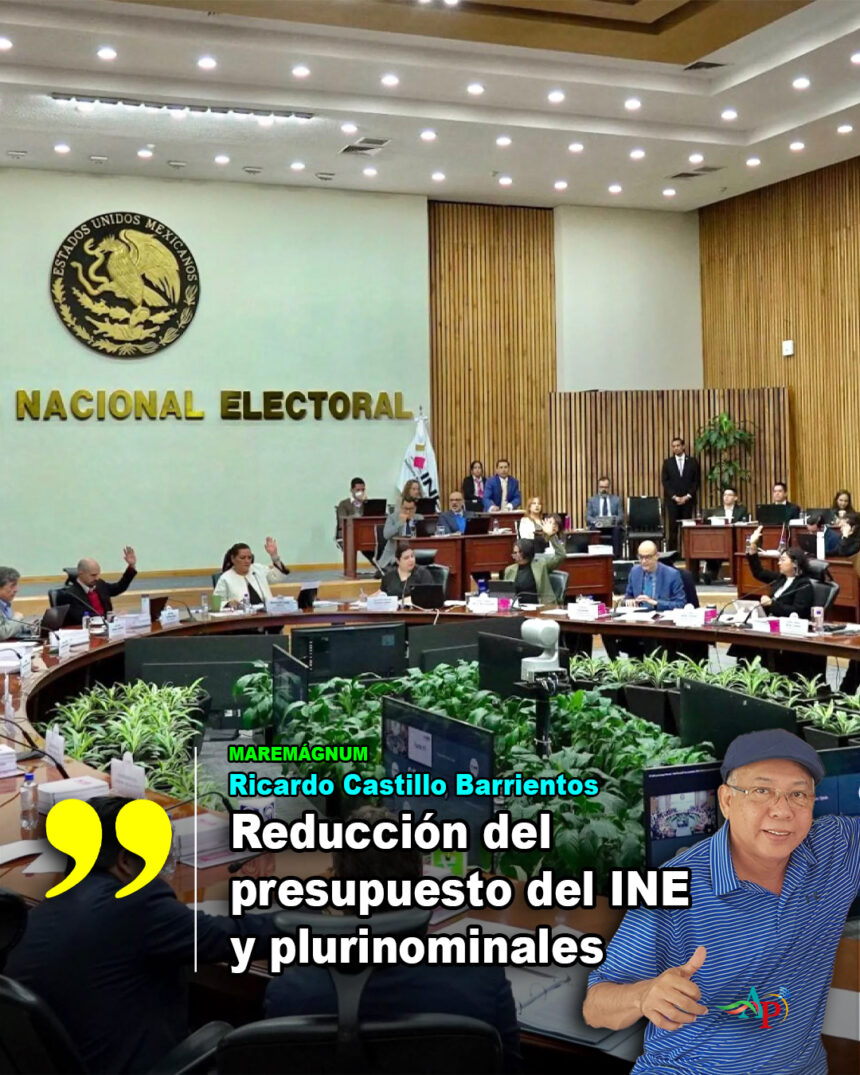 Reducción del presupuesto del INE  y plurinominales