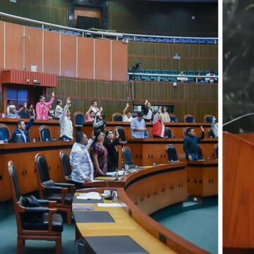 Recomiendan a ayuntamientos a mantener campañas de bienestar animal