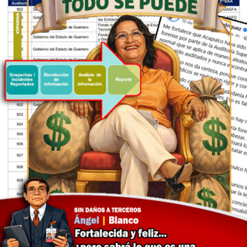 ¿Sabrá Abelina  qué es una «auditoría forense aleatoria»?