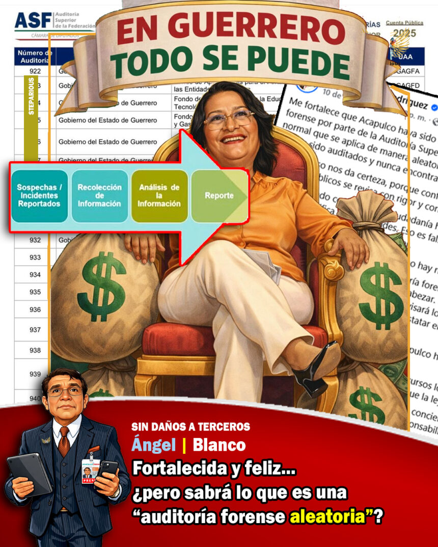 ¿Sabrá Abelina  qué es una «auditoría forense aleatoria»?