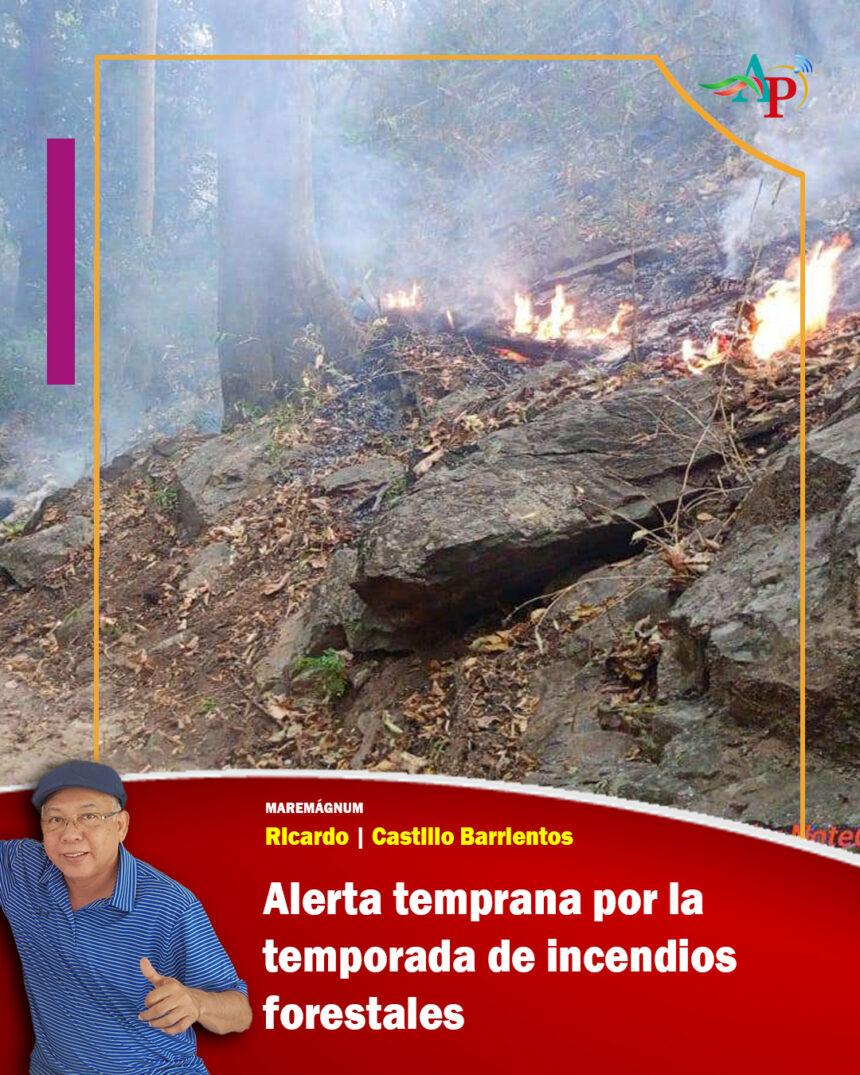 Alerta temprana por la temporada de incendios forestales