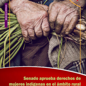 Senado aprueba derechos de mujeres indígenas en el ámbito rural