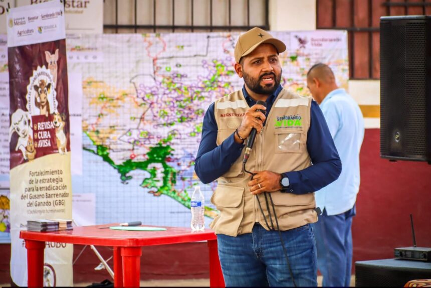 Refuerzan acciones contra gusano barrenador en Acapulco