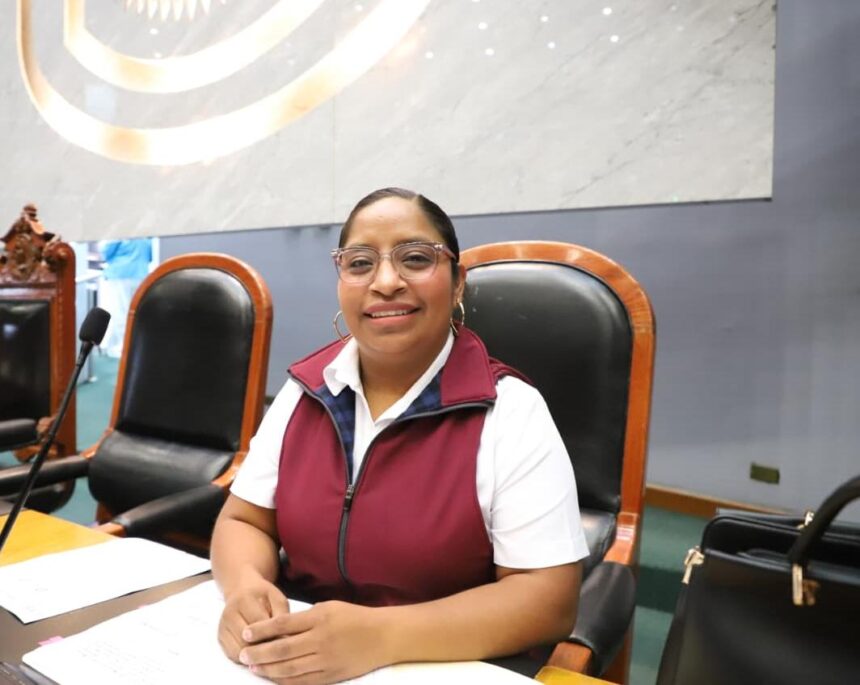 CATALINA APOLINAR Impulsan en Congreso respeto a derechos políticos de indígenas y afromexicanos