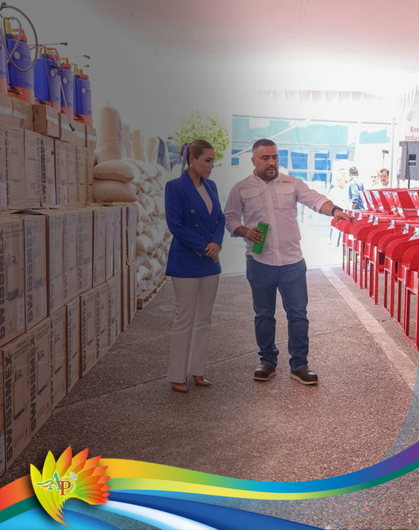 Abasto de maíz y estabilidad de precio de tortilla, ¡garantizados!