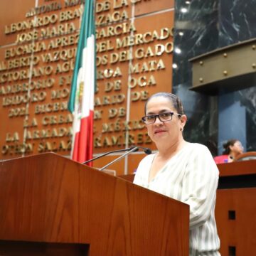 Pilar Vadillo pide reforzar seguridad en escuelas de Guerrero
