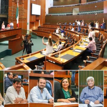 Aprueban considerar por ley «guías» a animales de apoyan a personas con discapacidad