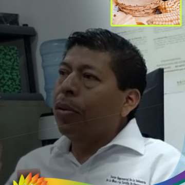 Descartan aumento generalizado del precio de la tortilla en Guerrero