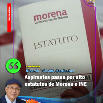 Castillo INE Aspirantes pasan por alto estatutos de Morena e INE