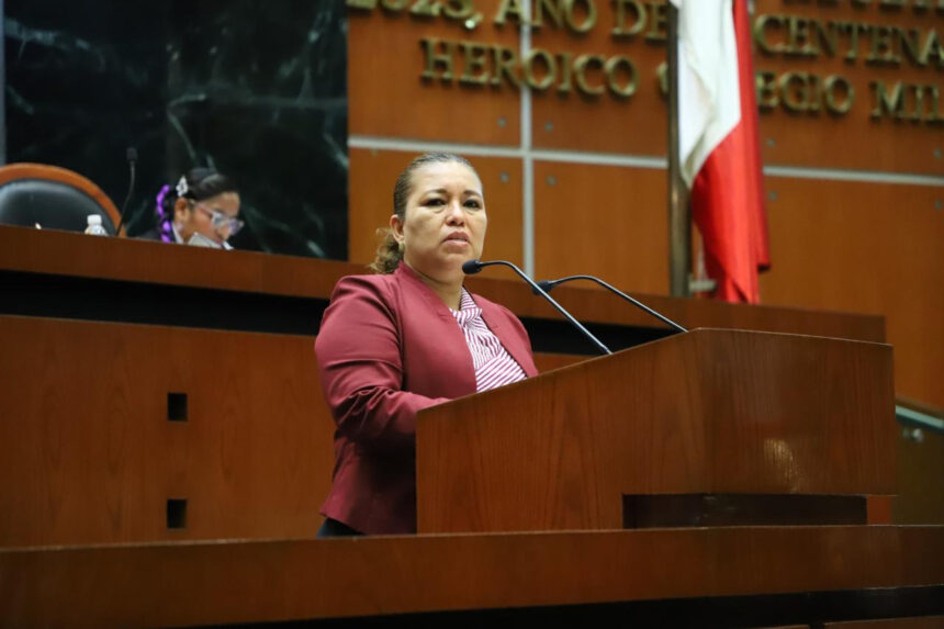 Piden a municipios descuentos preferenciales en transporte para adultos mayores