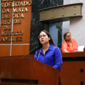 citlali calixto Citlali Calixto propone simplifacion orgánica en Guerrero