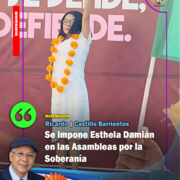 ESTHELA CASTILLO Se impone Esthela Damián en las Asambleas por la Soberanía