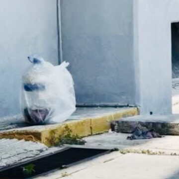 Descartan restos humanos en hallazgo del centro de Acapulco