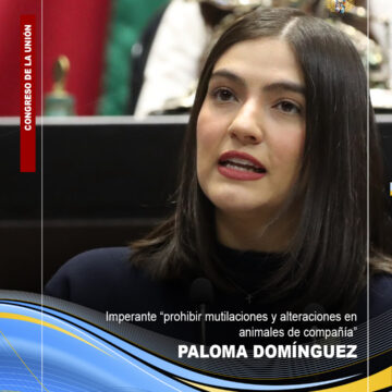 Pide diputada priísta prohibir mutilaciones y alteraciones en animales de compañía