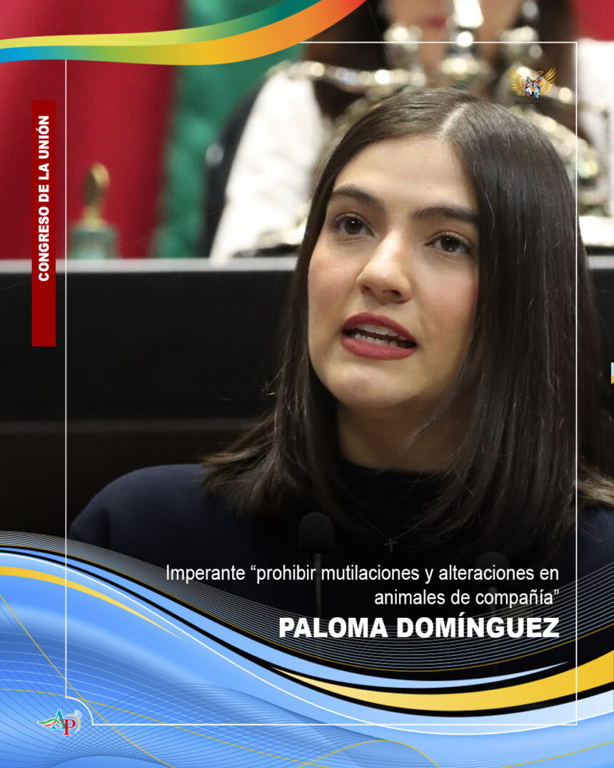 Paloma Domínguez Ugarte Pide diputada priísta prohibir mutilaciones y alteraciones en animales de compañía