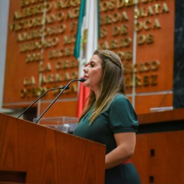 erik lhurs Congreso pide informes de acciones en pro del sector comercial afectado por Otis